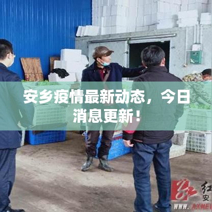 安乡疫情最新动态，今日消息更新！