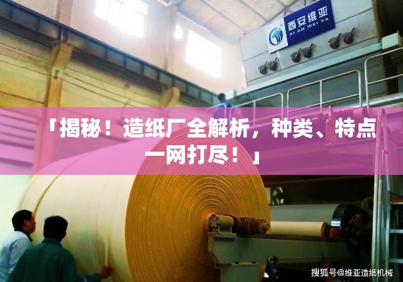 「揭秘！造纸厂全解析，种类、特点一网打尽！」
