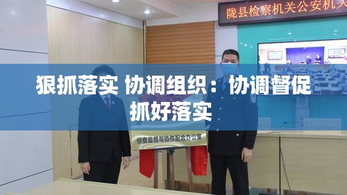 狠抓落实 协调组织：协调督促抓好落实 