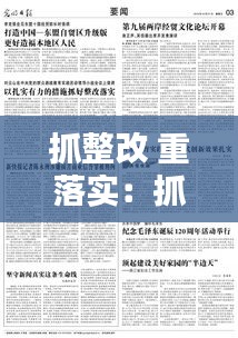 抓整改 重落实：抓好落实整改要求 