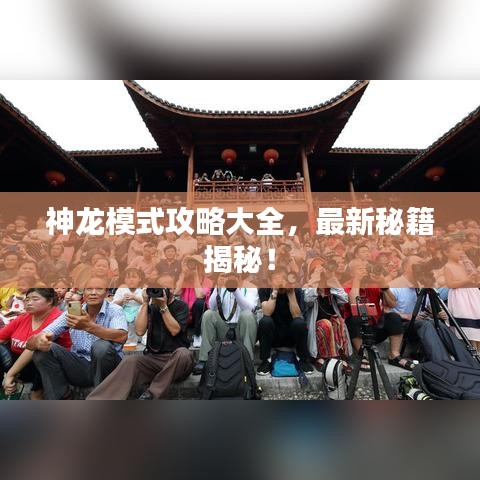 神龙模式攻略大全，最新秘籍揭秘！