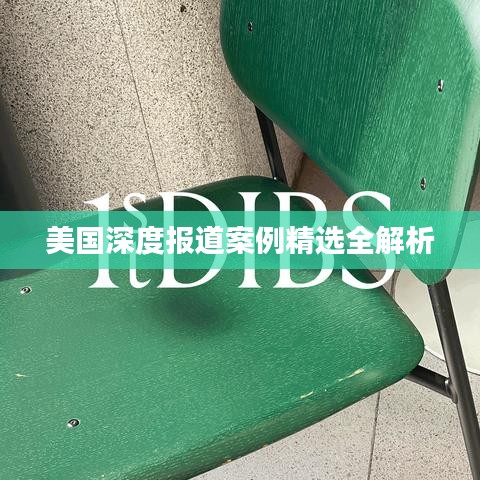 美国深度报道案例精选全解析