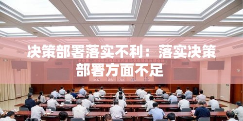 决策部署落实不利：落实决策部署方面不足 