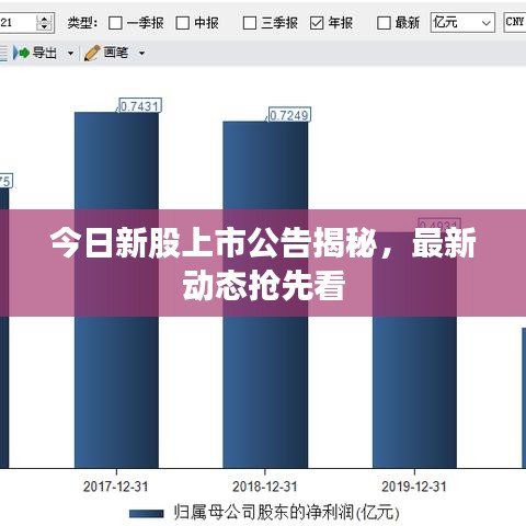今日新股上市公告揭秘，最新动态抢先看