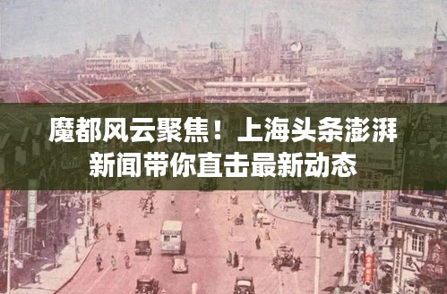 魔都风云聚焦！上海头条澎湃新闻带你直击最新动态