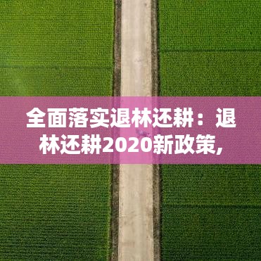全面落实退林还耕：退林还耕2020新政策,有何意义 