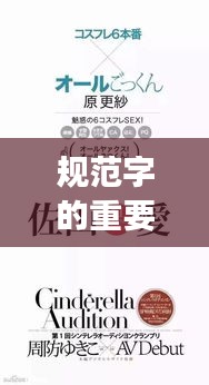 规范字的重要性，探寻汉字之美的独特视角——从规范字5出发