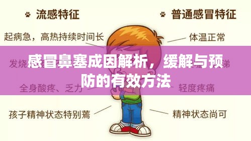 感冒鼻塞成因解析，缓解与预防的有效方法