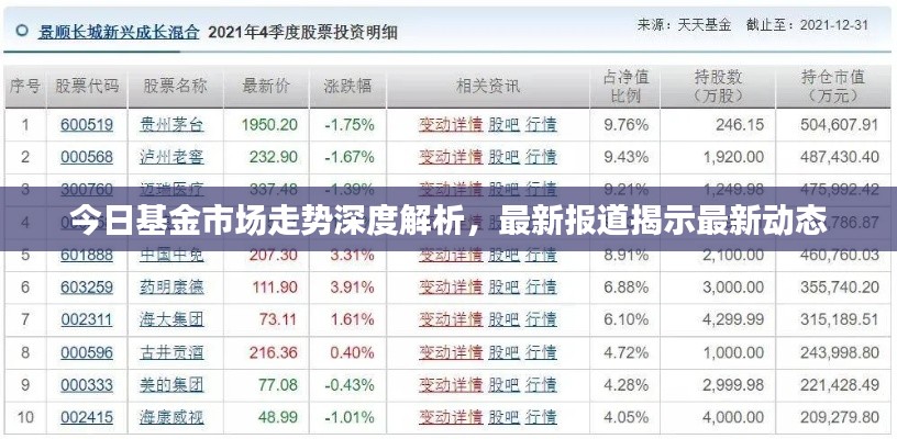 今日基金市场走势深度解析，最新报道揭示最新动态