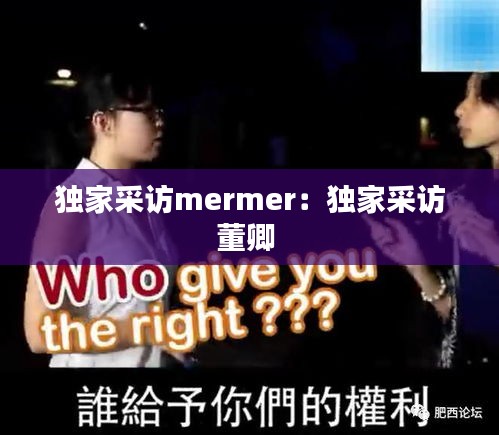 独家采访mermer：独家采访董卿 