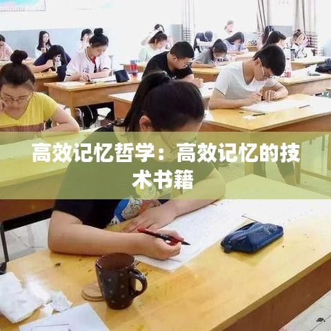 高效记忆哲学：高效记忆的技术书籍 