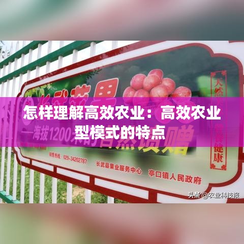 怎样理解高效农业：高效农业型模式的特点 