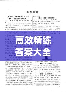 高效精练答案大全：高效精练数学 