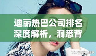 迪丽热巴公司排名深度解析，洞悉背后的商业价值