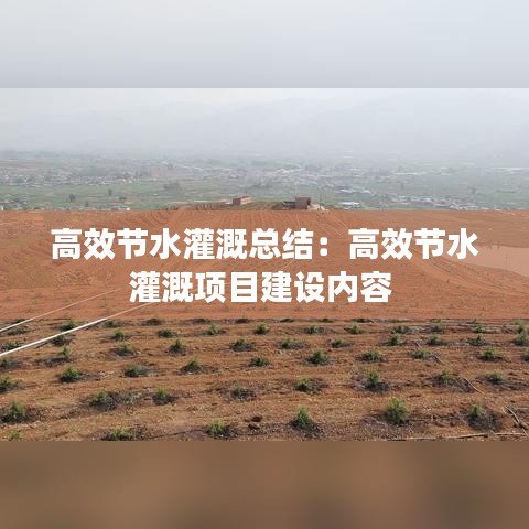 高效节水灌溉总结：高效节水灌溉项目建设内容 