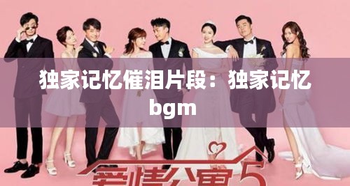 独家记忆催泪片段：独家记忆bgm 