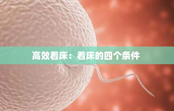 高效着床：着床的四个条件 