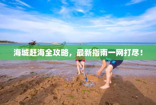 海城赶海全攻略，最新指南一网打尽！