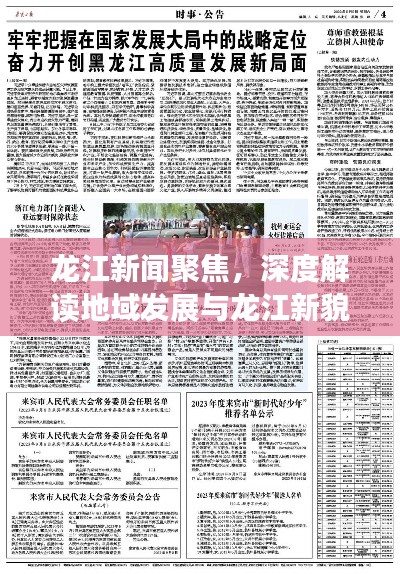 龙江新闻聚焦，深度解读地域发展与龙江新貌