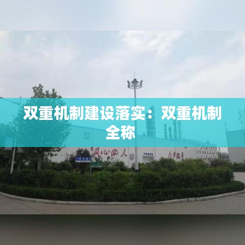 双重机制建设落实：双重机制全称 