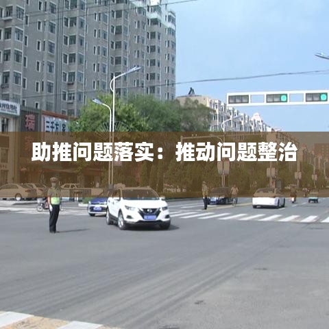 助推问题落实：推动问题整治 