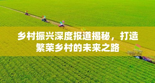 乡村振兴深度报道揭秘，打造繁荣乡村的未来之路