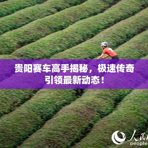 贵阳赛车高手揭秘，极速传奇引领最新动态！