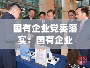 国有企业党委落实：国有企业党委党组发挥什么 