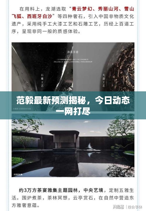 范毅最新预测揭秘，今日动态一网打尽