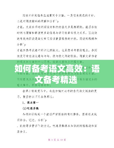 如何备考语文高效：语文备考精选 