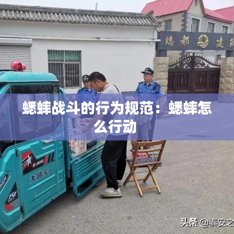 蟋蟀战斗的行为规范：蟋蟀怎么行动 