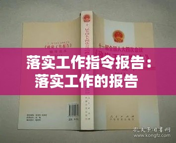 落实工作指令报告：落实工作的报告 