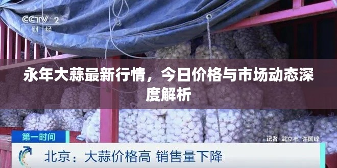 永年大蒜最新行情，今日价格与市场动态深度解析