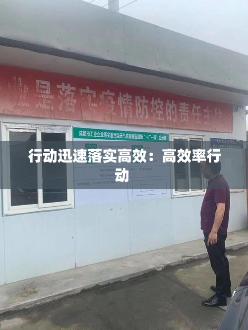 行动迅速落实高效：高效率行动 