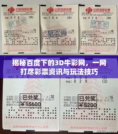 揭秘百度下的3D牛彩网，一网打尽彩票资讯与玩法技巧