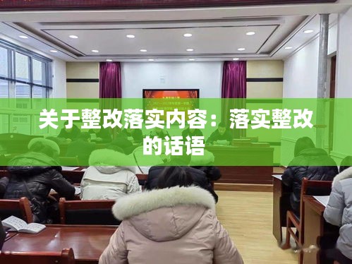 关于整改落实内容：落实整改的话语 