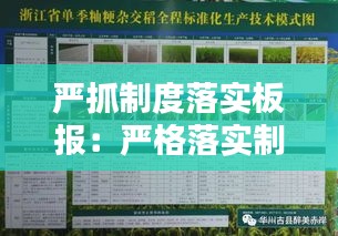 严抓制度落实板报：严格落实制度管理 