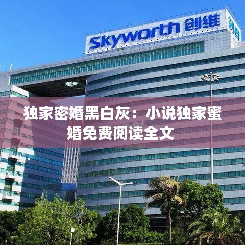 独家密婚黑白灰：小说独家蜜婚免费阅读全文 
