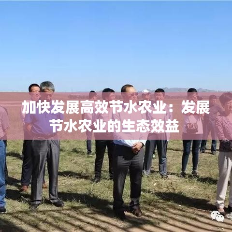 加快发展高效节水农业：发展节水农业的生态效益 