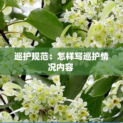 巡护规范：怎样写巡护情况内容 