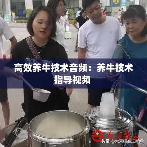 高效养牛技术音频：养牛技术指导视频 