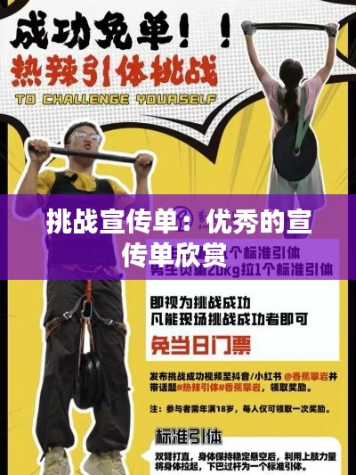 挑战宣传单：优秀的宣传单欣赏 