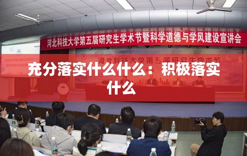 充分落实什么什么：积极落实什么 