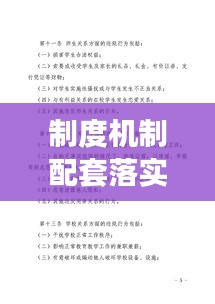 制度机制配套落实：制度落实及长效机制构建情况 