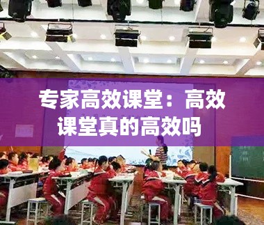 专家高效课堂：高效课堂真的高效吗 