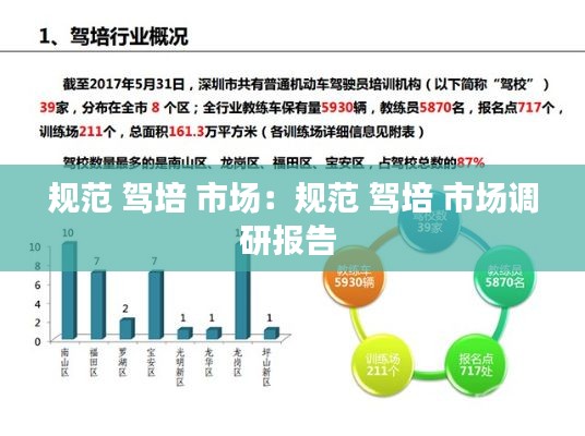 规范 驾培 市场：规范 驾培 市场调研报告 