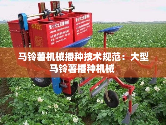 马铃薯机械播种技术规范：大型马铃薯播种机械 