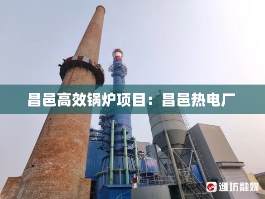 昌邑高效锅炉项目：昌邑热电厂 