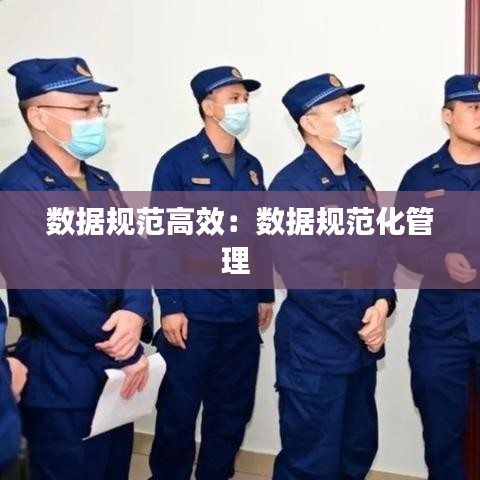 数据规范高效：数据规范化管理 