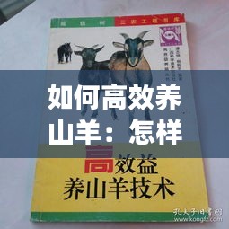 如何高效养山羊：怎样养山羊视频播放 